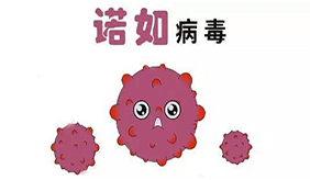 &#20048;&#31454;&#23448;&#32593;&#45;&#20048;&#31454;&#40;&#20013;&#22269;&#41;&#19968;&#31449;&#24335;&#20307;&#32946;&#26381;&#21153;
