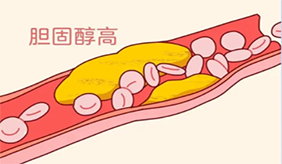 &#20048;&#31454;&#23448;&#32593;&#45;&#20048;&#31454;&#40;&#20013;&#22269;&#41;&#19968;&#31449;&#24335;&#20307;&#32946;&#26381;&#21153;